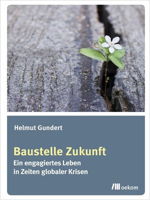 cover image of Baustelle Zukunft